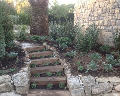 Escalier Plantes rampantes -Bruno