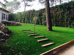 Insertion marches et pelouse