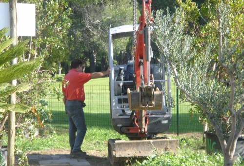 Préparation pour treuiller des oliviers Mandelieu