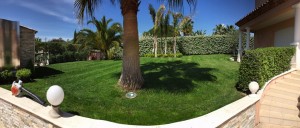 Aménagement gazon en plaques